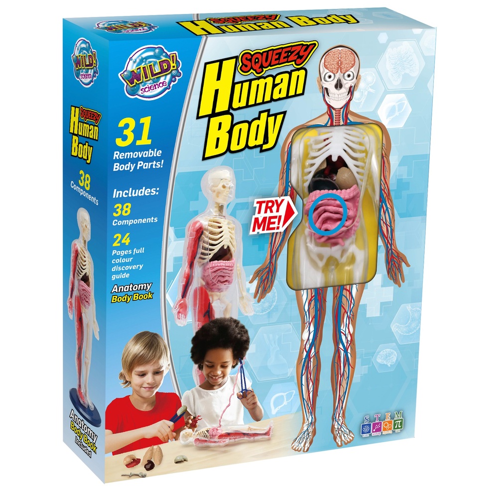 Wild Science Squeezy Human Body Smyths Toys Ireland