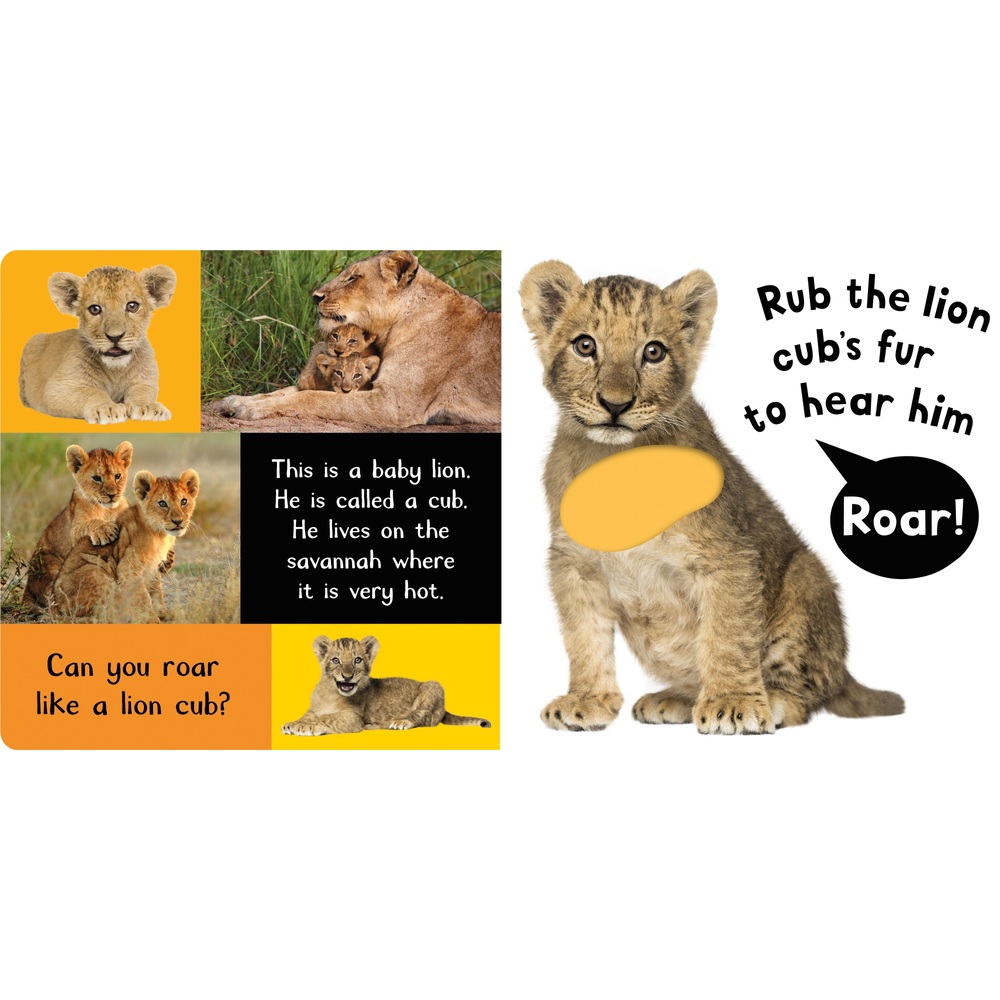 Noisy Baby Animals My First Touch and Feel Sound Book Smyths Toys UK