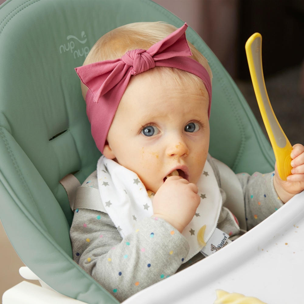 Baby Elegance Nup Nup From Birth High Chair Pickle Smyths Toys UK