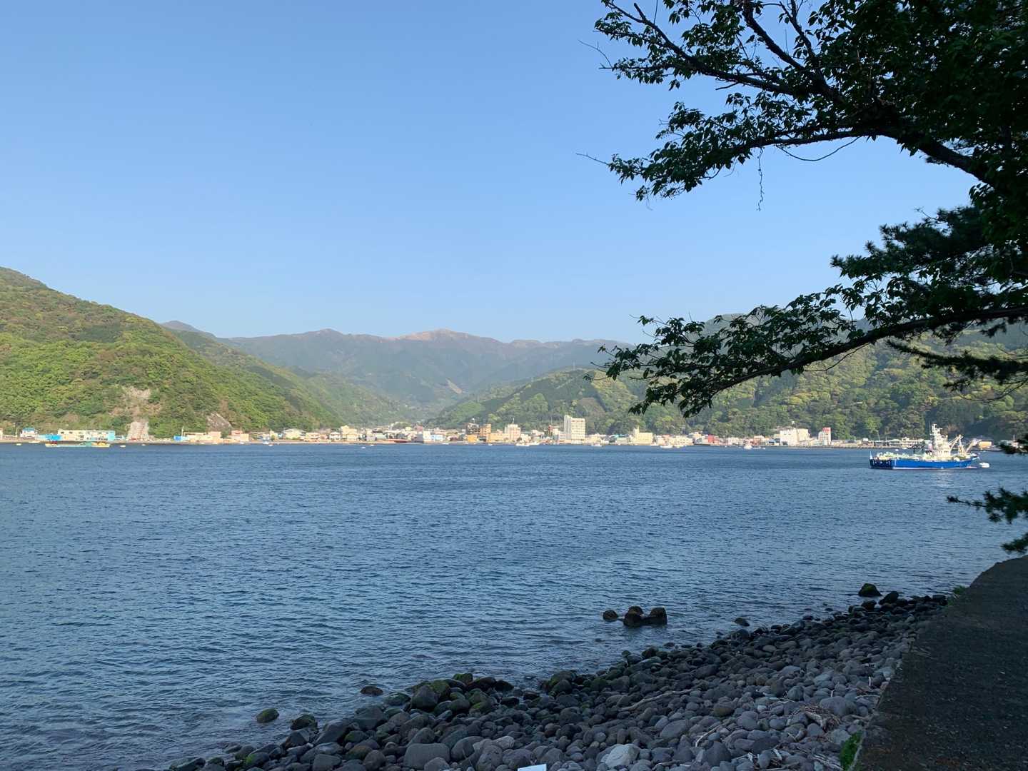 戸田の港で釣り西伊豆 ねこまんまねこの日記 楽天ブログ
