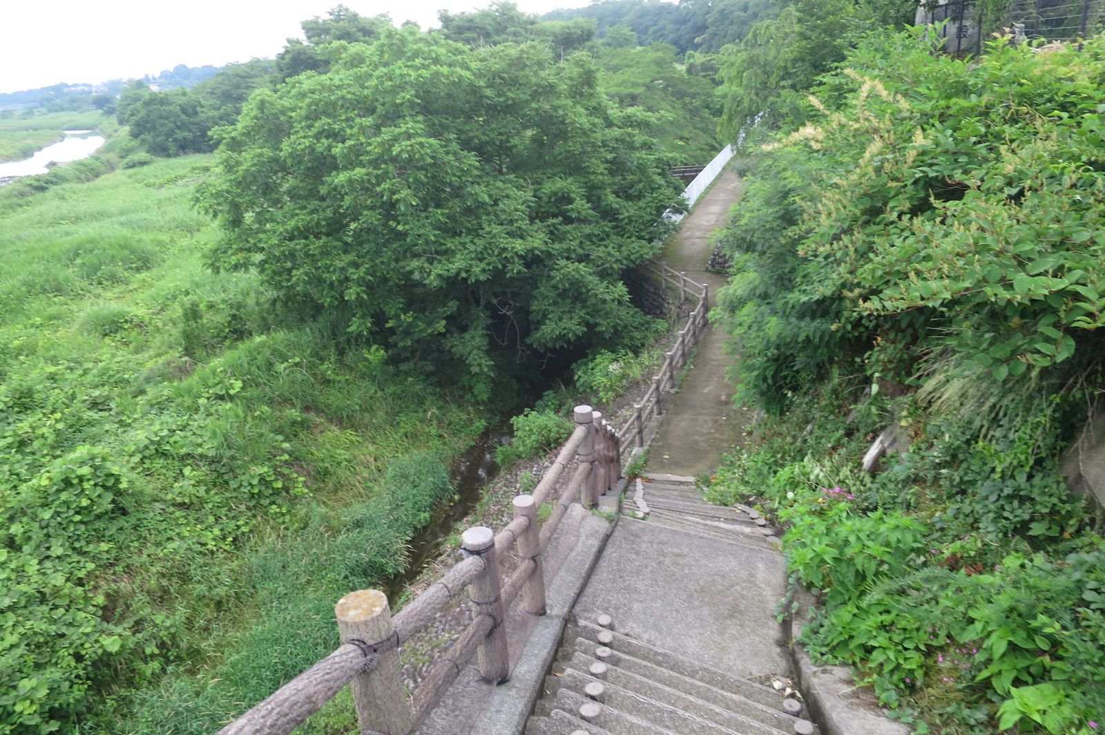 旅ラン 秋川左岸往復12km 東京都あきる野市 道草日記 旅・釣り・ワイン 楽天ブログ