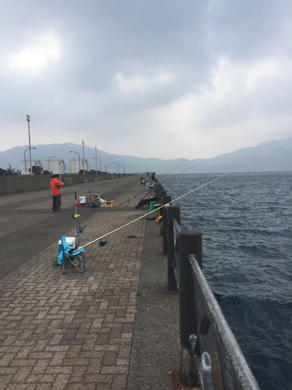 敦賀新港 釣り、そして食べるブログ 楽天ブログ