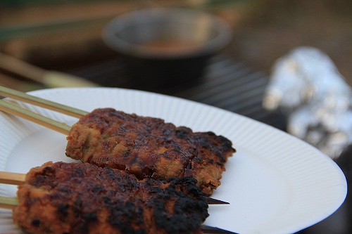 最高に楽しくてめんどくさいキャンプ? NO.3 炭火の炉端焼き♪ OUTDOOR STYLE 楽天ブログ