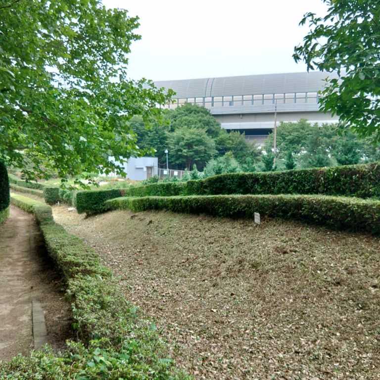 赤山城跡（赤山陣屋敷跡）（埼玉県川口市） 越谷市増森（ましもり）のやまたけちゃんのブログ 楽天ブログ