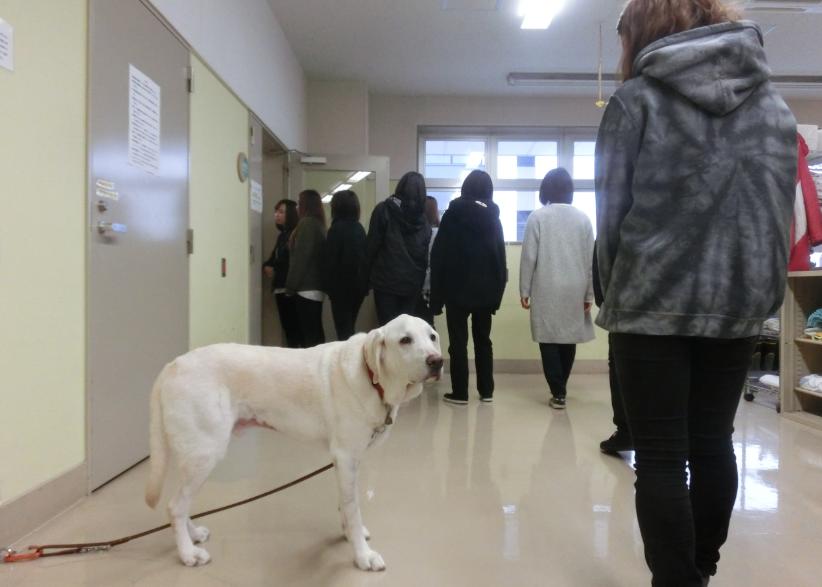 ⋆♫*北里大学獣医学部付属動物病院見学会～前回の様子～⋆♫* 青森愛犬美容専門学院 楽天ブログ