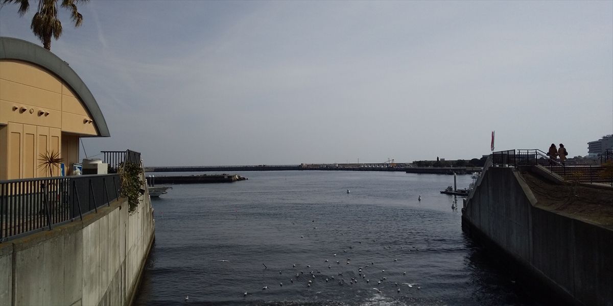 2019年2月下旬 熱海海釣り公園 パックロッド生活 楽天ブログ