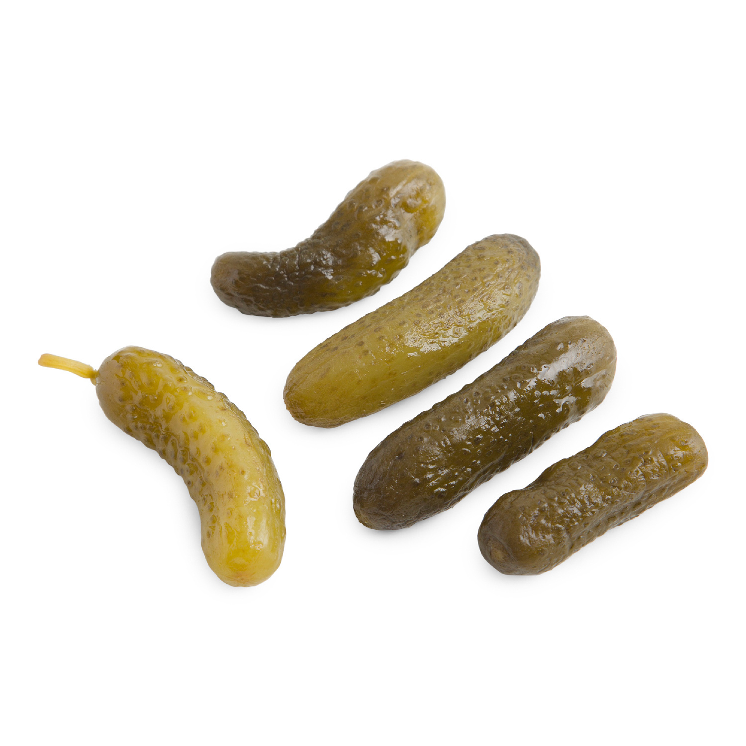 Gherkin Pickles (4000592+4153286+5287269+0137257) Sysco Foodie