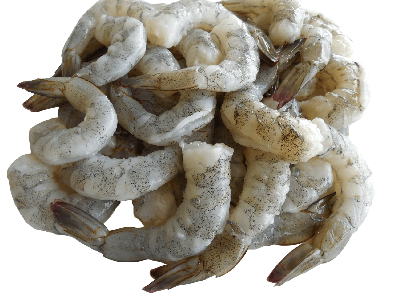 Shrimp White Raw Peeled & Deveined TailOn 2125 Ct Farm Raised