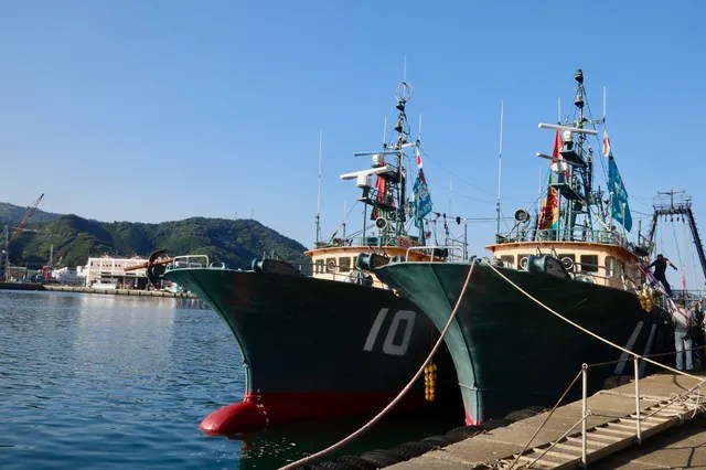 戦後日本の魚事情を支えた、愛媛・八幡浜の「トロール」 TABI LABO