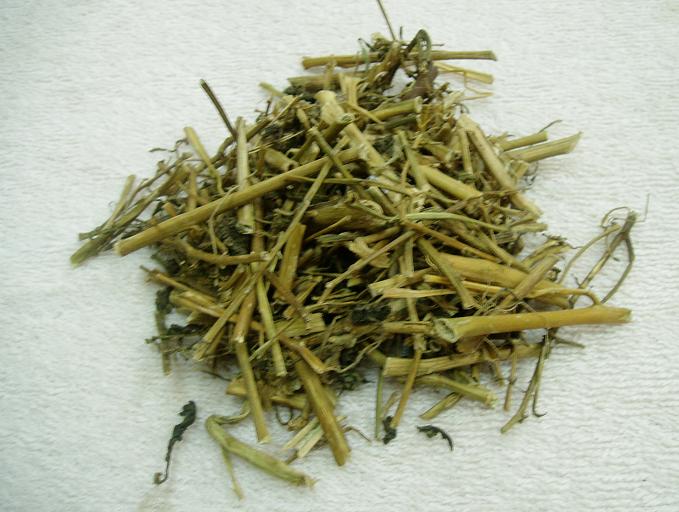 Long Kui TCM Herbs TCM Wiki