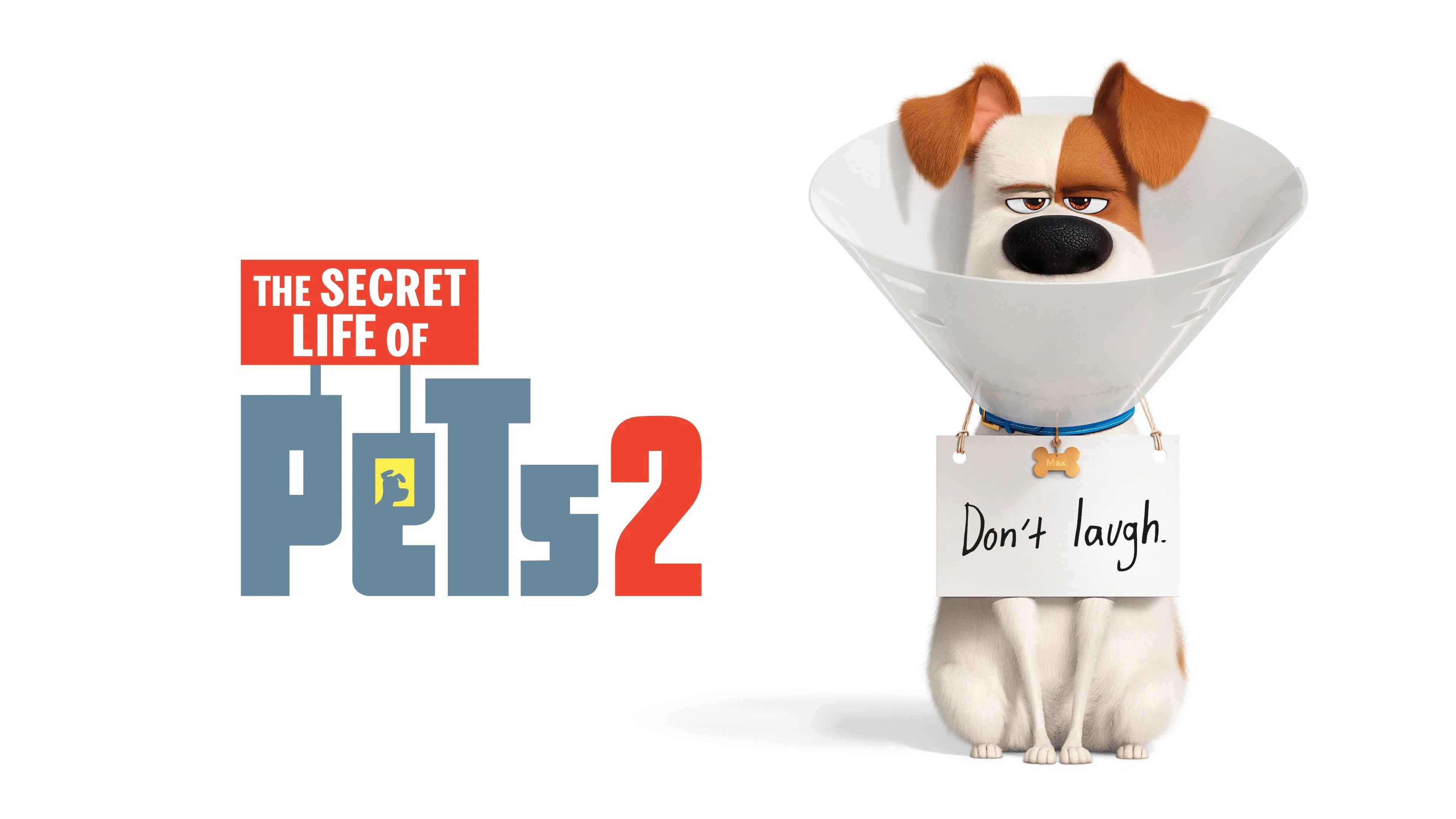 Evcil Hayvanların Gizemli Yaşamı 2 izle HD Jet Film izle Sayfa 5