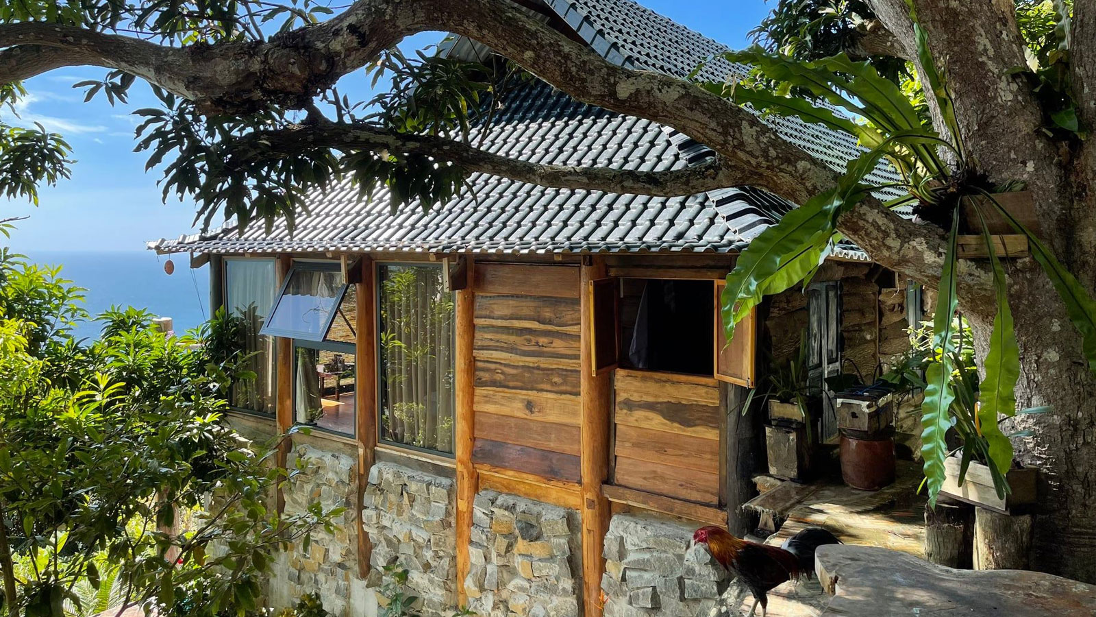 Mango House, homestay giữa lưng chừng núi view đẹp mê hồn trên đảo Hòn Sơn