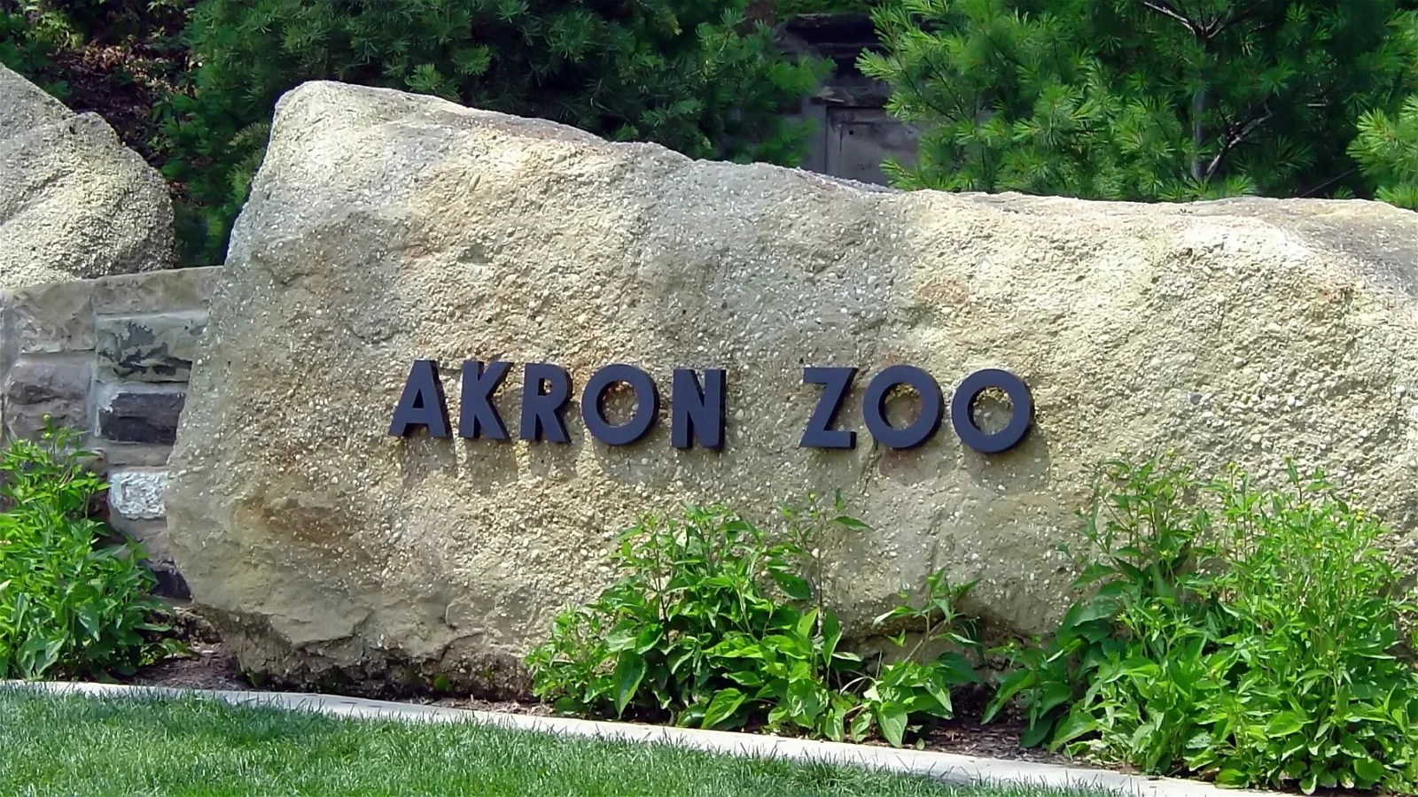 Akron Zoo (Akron) Visitor Information & Reviews