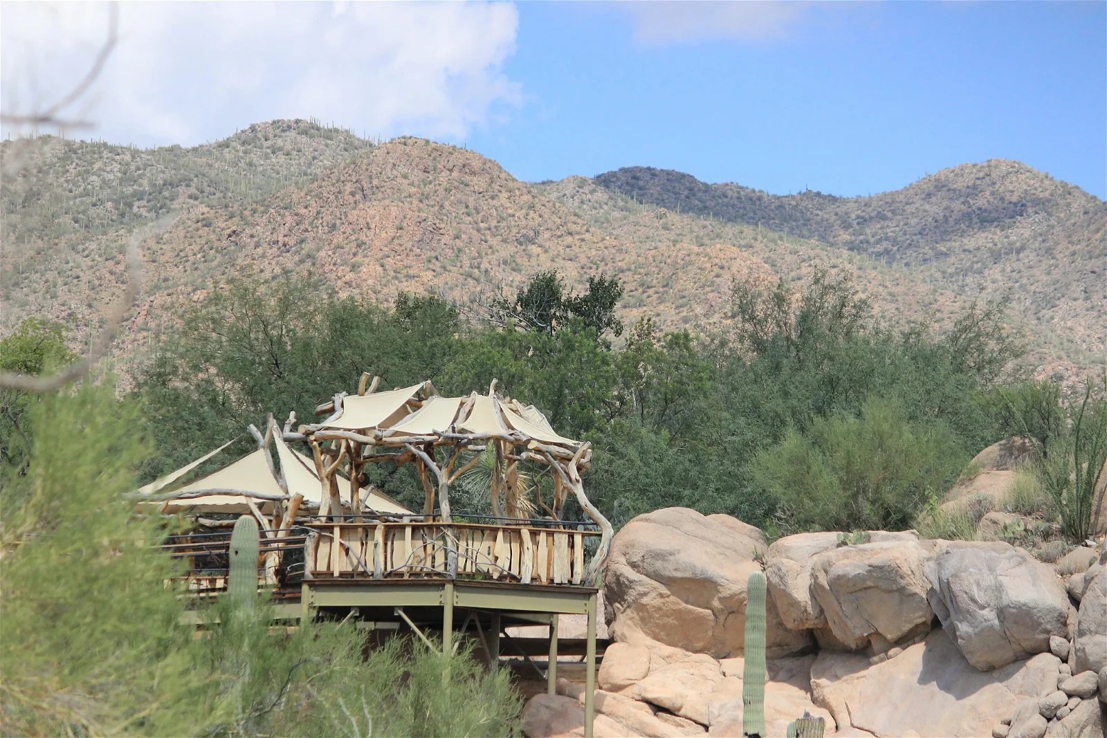 Tickets, Prices & Discounts Arizonasonora Desert Museum (Tucson Estates)