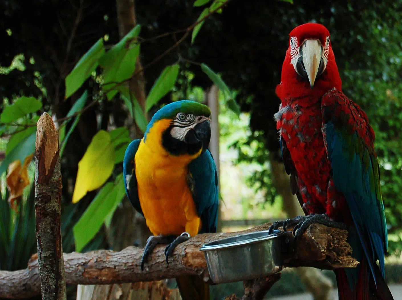 Gulf Breeze Zoo (Woodlawn Beach) Visitor Information & Reviews