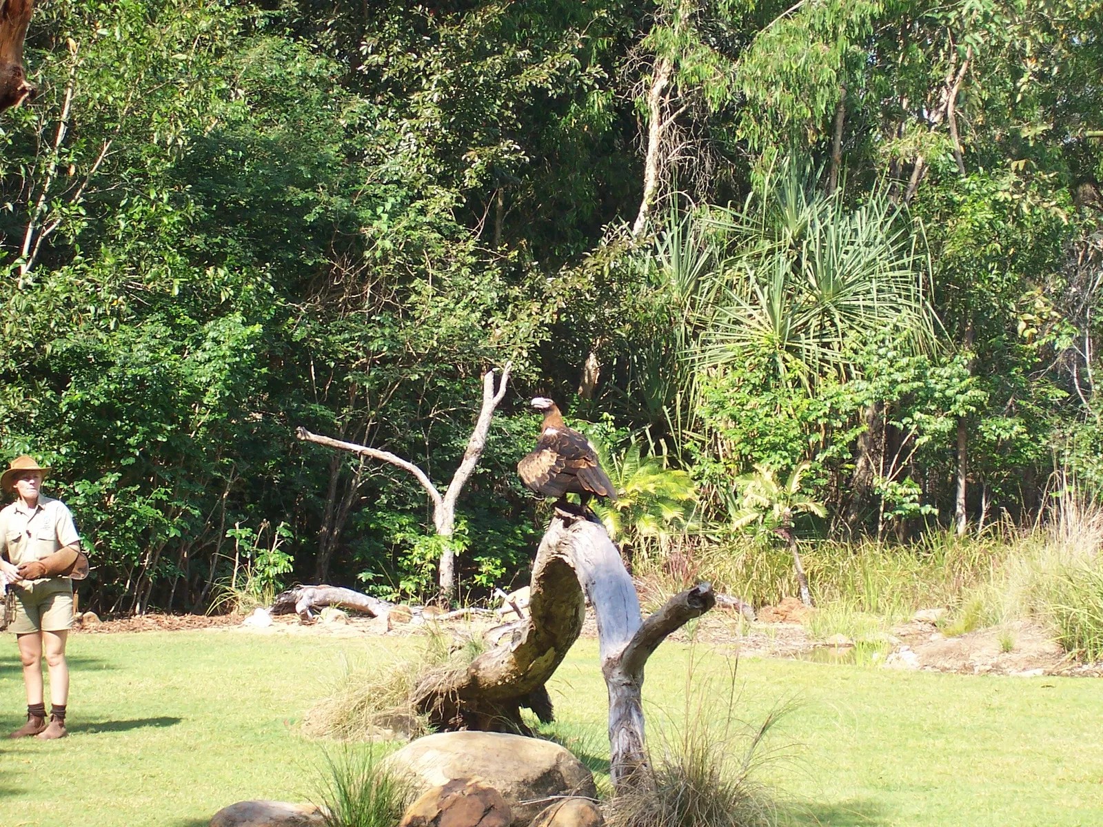 Tickets, Prices & Discounts Territory Wildlife Park (Berry Springs)