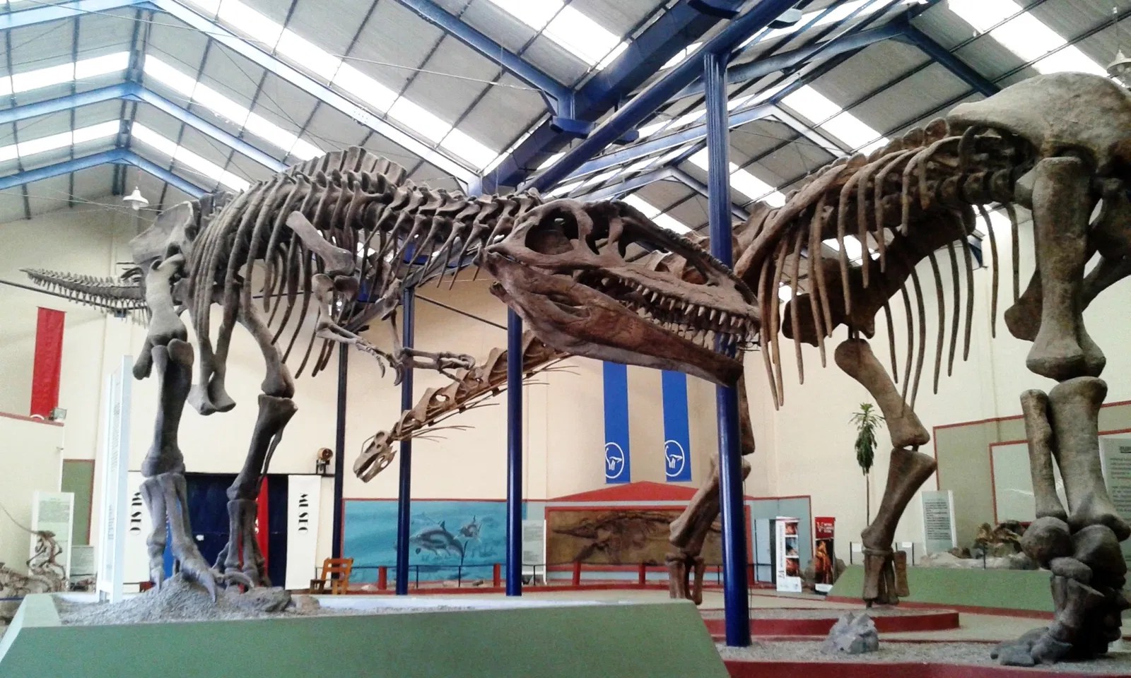 Tickets, Prices & Discounts Museo Carmen Funes (Municipio de Plaza