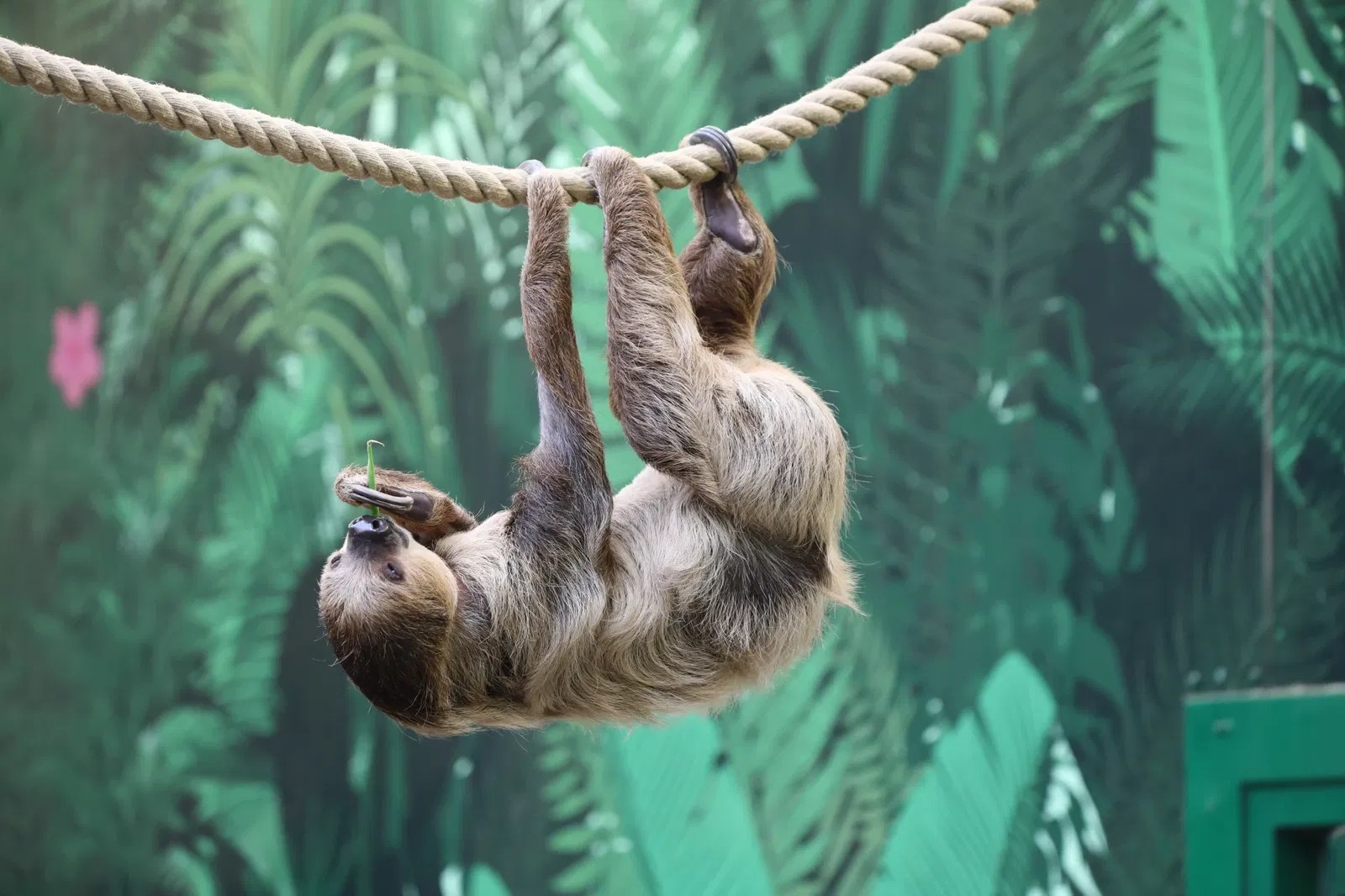 Edinburgh Zoo (Edinburgh) Visitor Information & Reviews