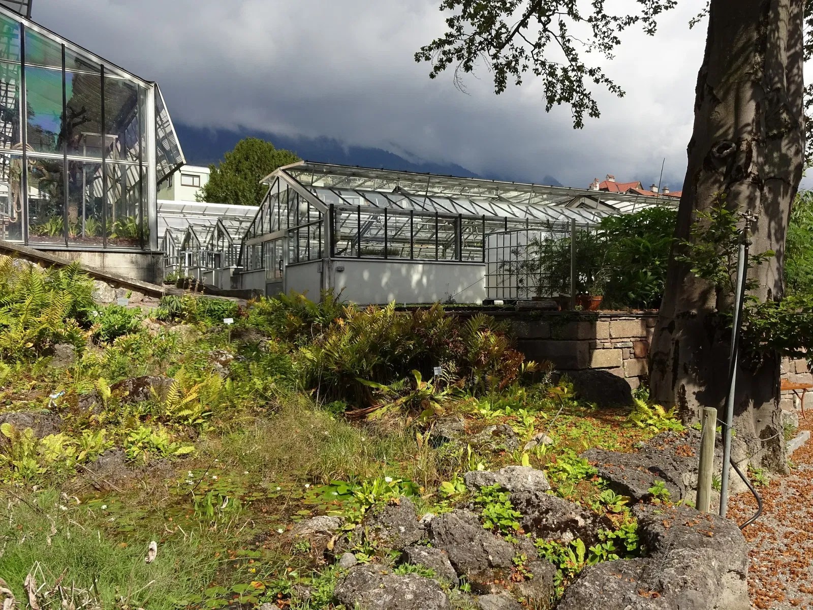 Botanical Garden of the University of Innsbruck (Innsbruck) Visitor