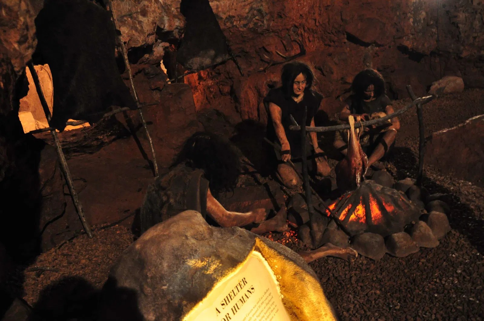 Opening Hours Kents Cavern Prehistoric Caves (Torquay)