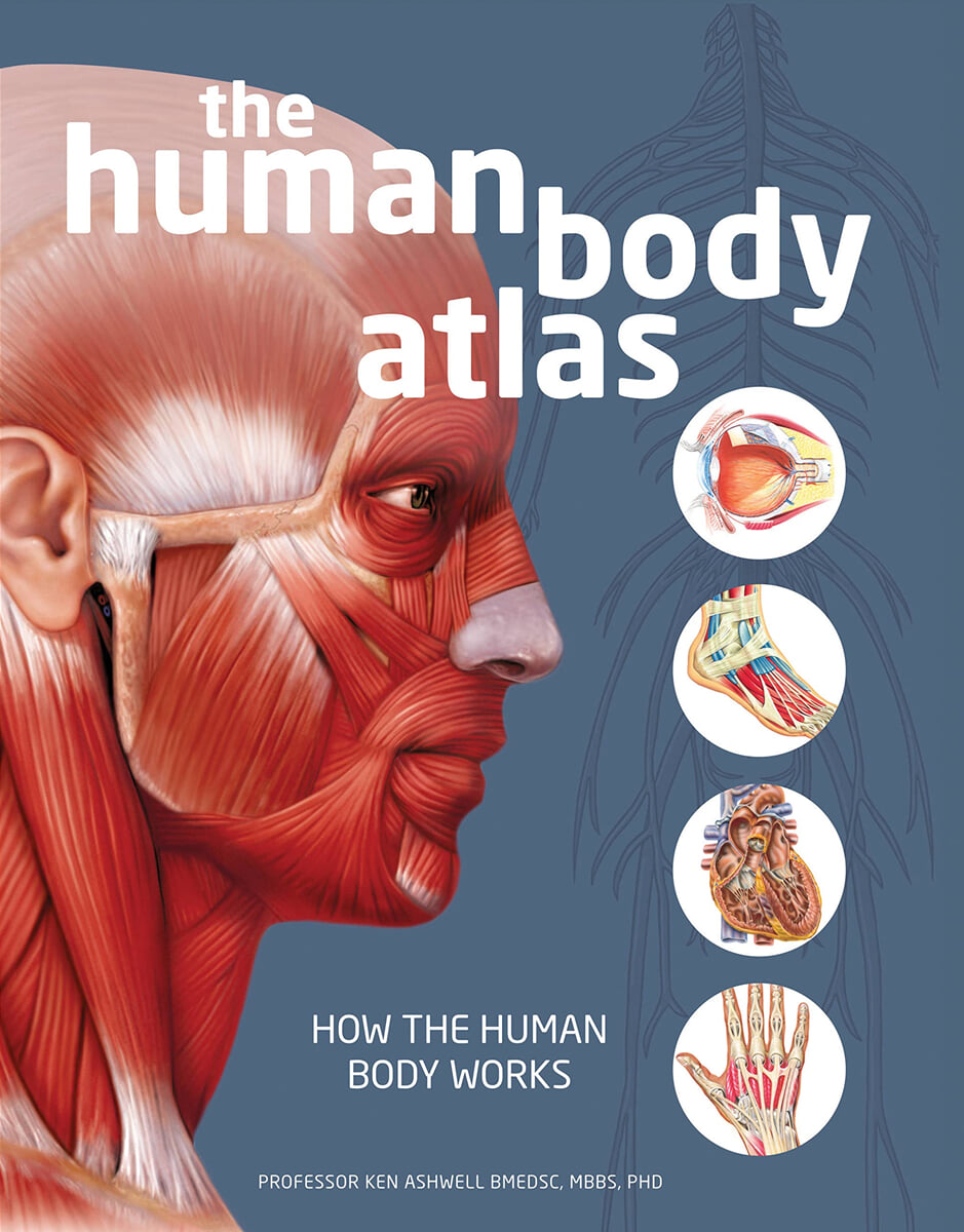 The Human Body Atlas How the Human Body Works YES24