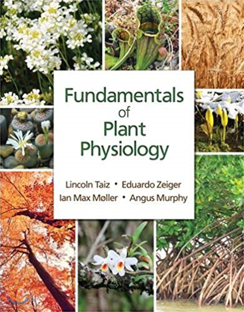 Fundamentals of Plant Physiology YES24