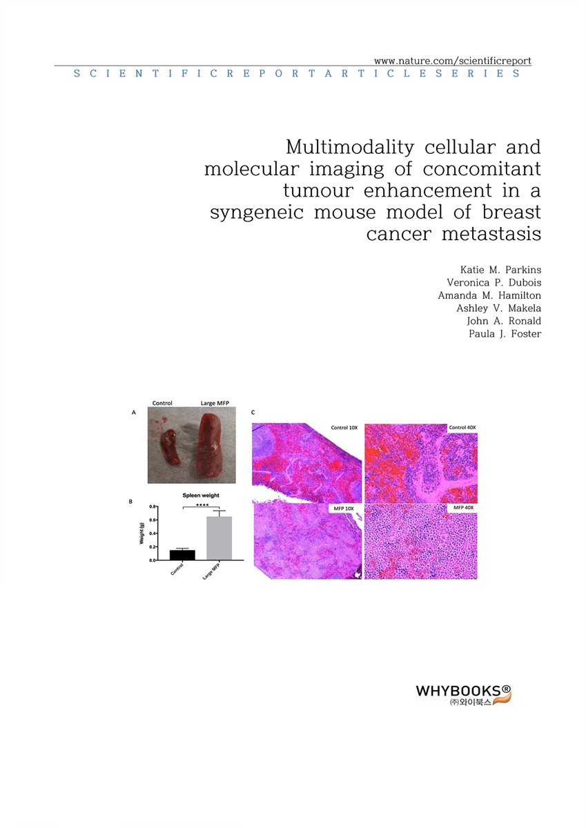 [전자책] Multimodality cellular and molecular imaging of