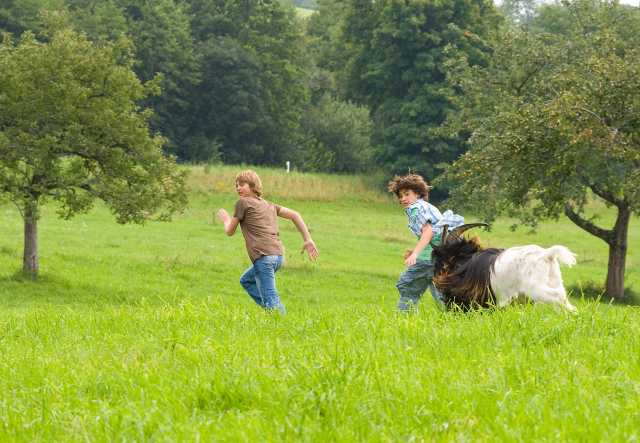 Tiere bis unters Dach, Bocksprünge KiKA YOUTV