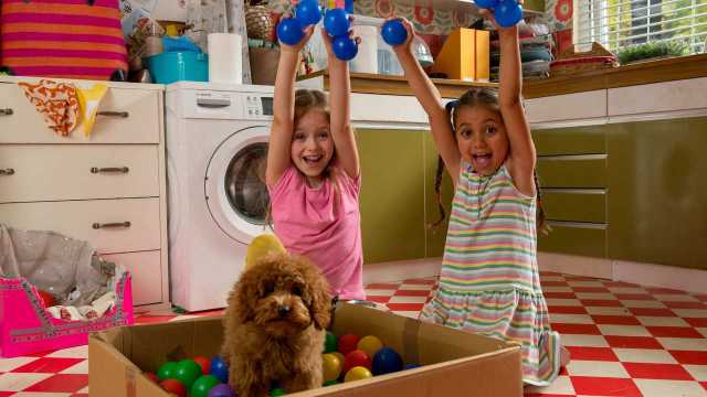 Wuffel, der Wunderhund, Auf Entdeckungstour KiKA YOUTV