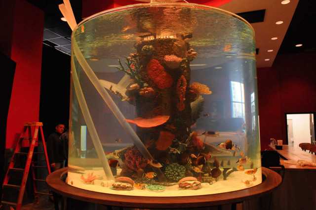 Die AquariumProfis, Episode 39 DMAX YOUTV