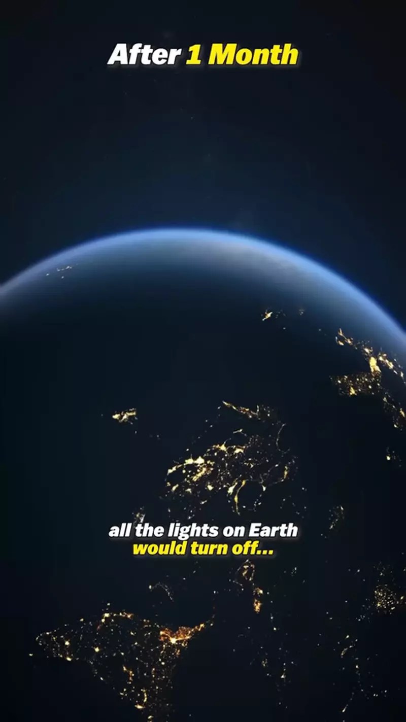 假如《人類一夕之間全消失》網友跟你分享接下來的地球會是什麼樣子？