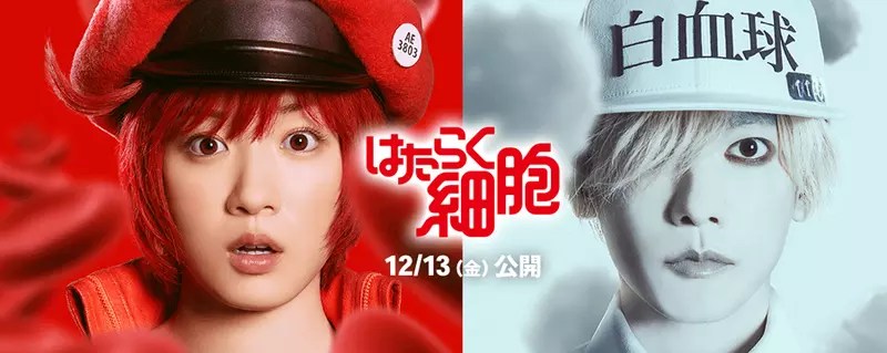 真人電影版《工作細胞》新演員名單公佈 染谷將太、小澤真珠 加入演出陣容，負責代謝與解毒的「肝細胞」由深田恭子擔綱演出