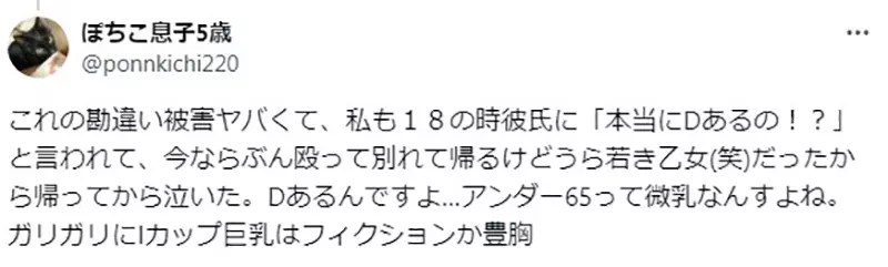 《二次元插畫的罩杯問題》這種尺寸竟然說只有D罩杯？男人都容易有這種誤會嗎？