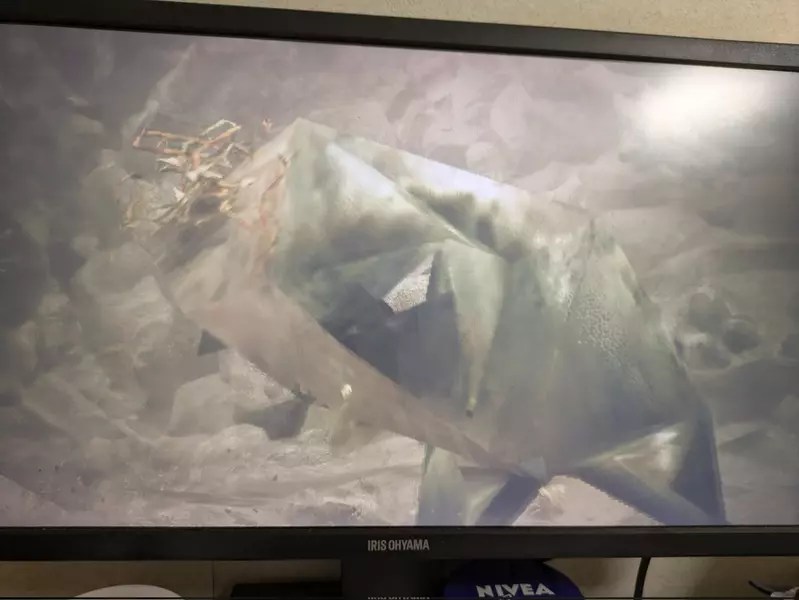 效能不足導致《魔物獵人荒野》發生問題 NPC崩壞跟素體模組曝光，運氣好看起來就跟沒穿一樣？