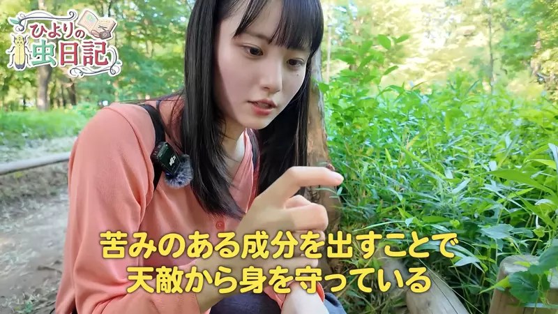 日本昆蟲系美少女YouTuber《ひよりの虫日記》徒手抓蛇都不怕這感覺有點強