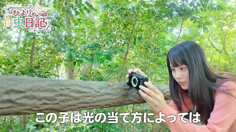 日本昆蟲系美少女YouTuber《ひよりの虫日記》徒手抓蛇都不怕這感覺有點強