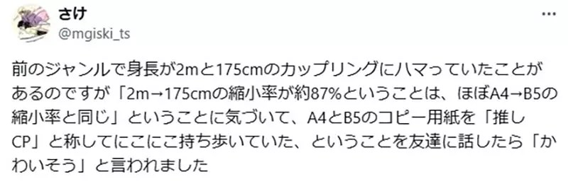 《影印紙BL》她將自己推的CP投射到A4與B5紙上 卻被朋友吐槽好可憐