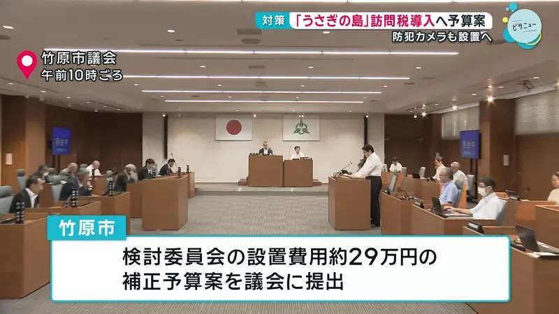 《兔島大久野島》想去找兔兔的觀光客注意了 地方政府準備要收登島費？