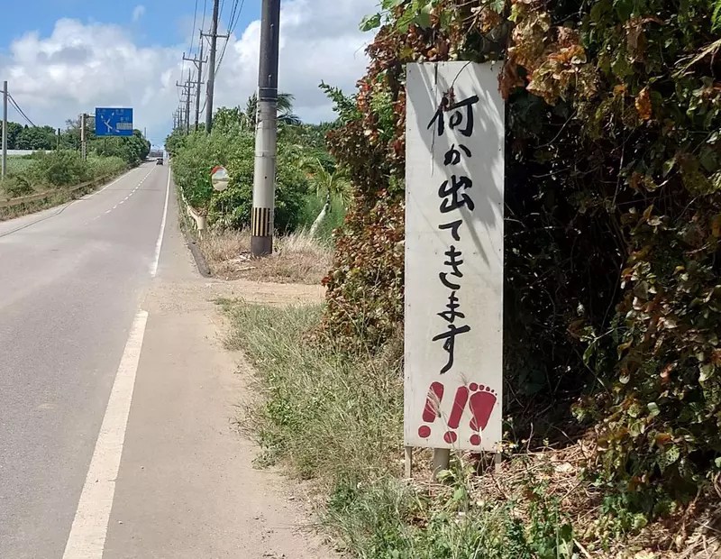 《沖繩神秘警示牌》小心路邊有東西跑出來？所以到底是什麼東西啊？