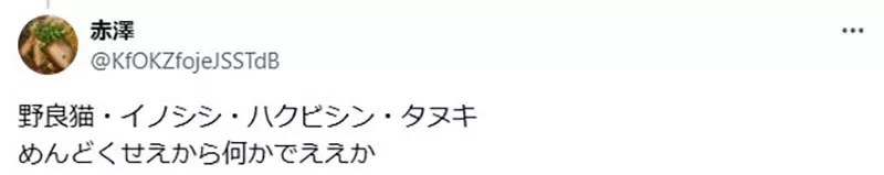 《沖繩神秘警示牌》小心路邊有東西跑出來？所以到底是什麼東西啊？