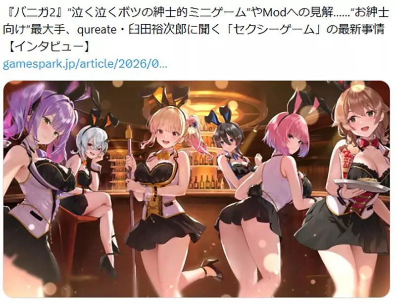 圖片2 《貧乳=風險》想上Steam就不得不豐胸?貧乳愛好者直呼沒人權