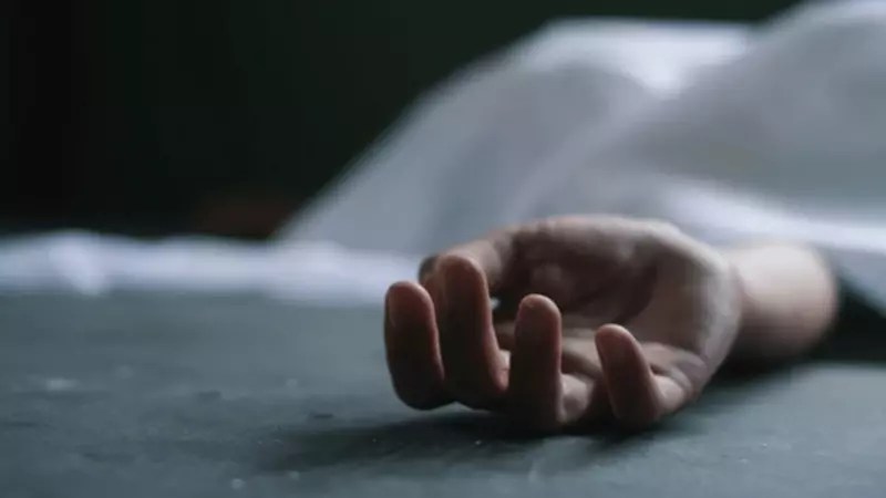 圖片3 《影視作品中的蒼蠅》都是怎麼找來的?專業動物公司解說幕後的辛苦