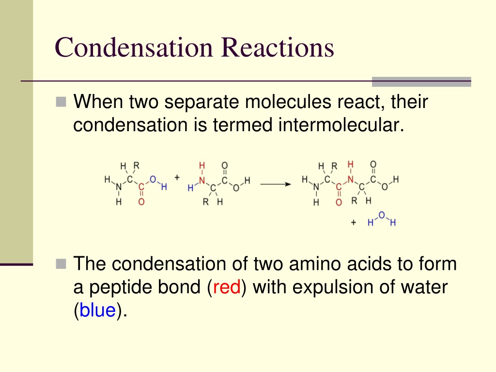 PPT Basic Organc Chemistry III PowerPoint Presentation, free download