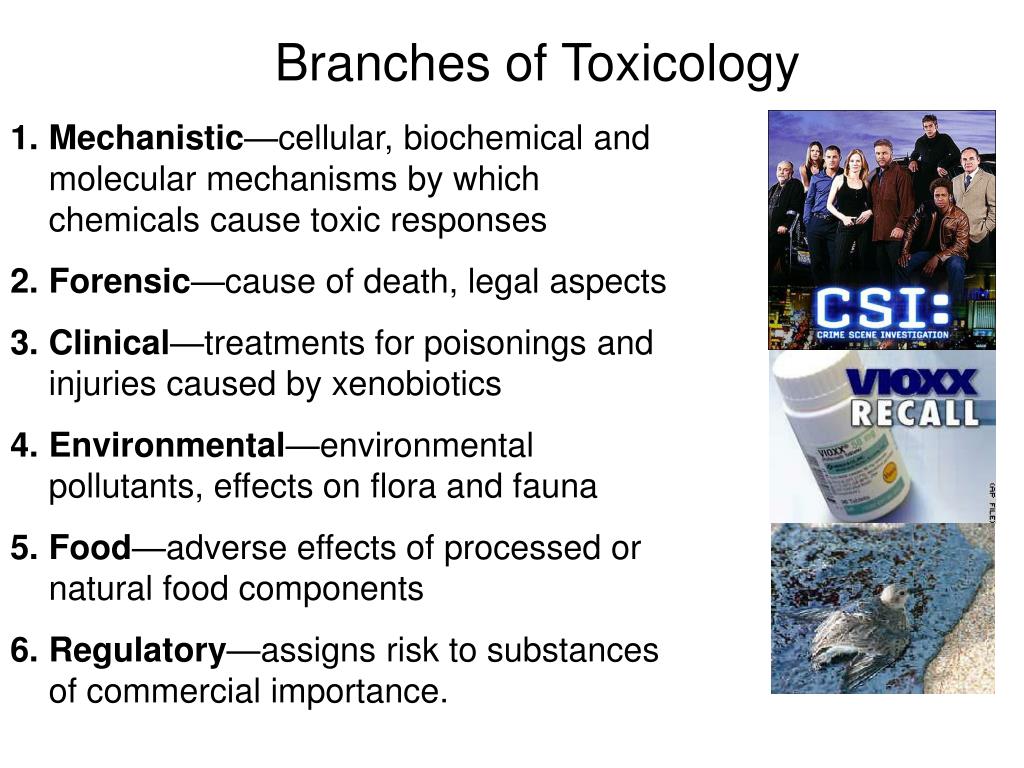 PPT NST110 Advanced Toxicology PowerPoint Presentation, free