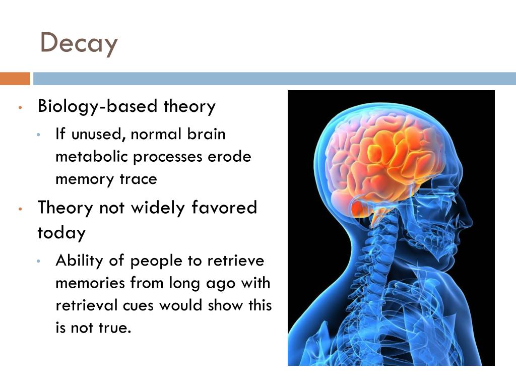 PPT Memory Retrieval and Problems PowerPoint Presentation, free