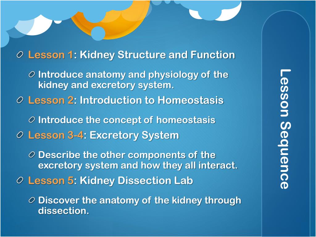 PPT Kidney Homeostasis PowerPoint Presentation, free