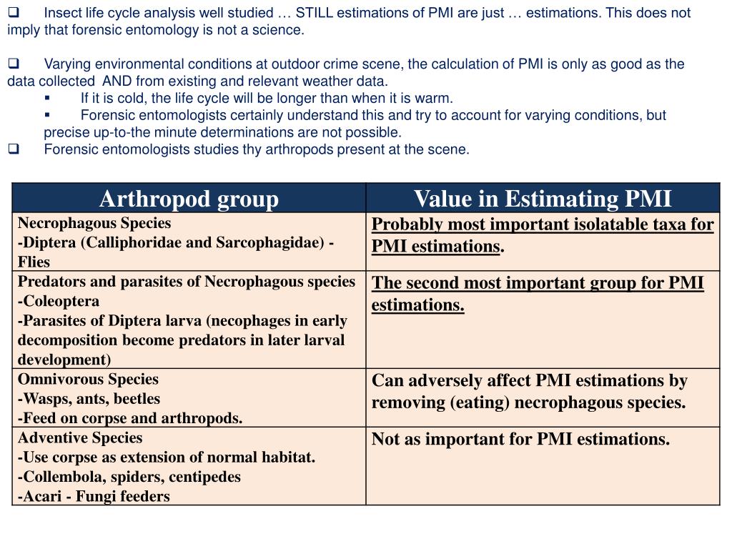 PPT Bugs and the Postmortem Interval PowerPoint Presentation, free