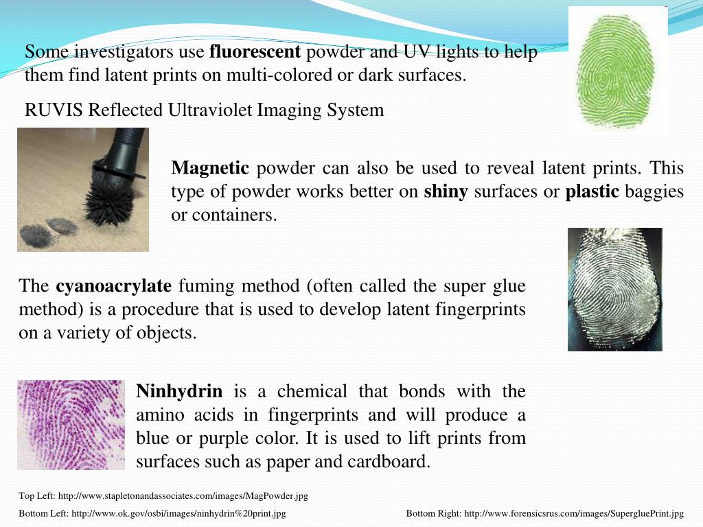 PPT Forensic Fingerprint Analysis PowerPoint Presentation, free