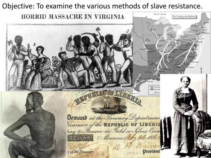 PPT Objective To examine the various methods of slave