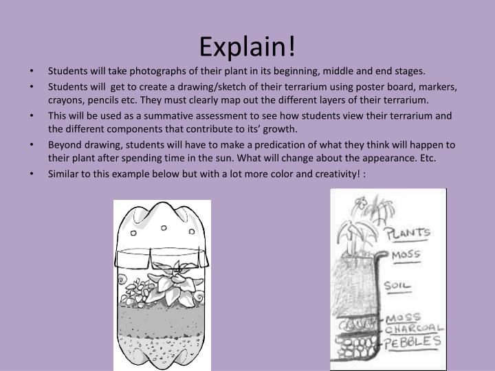 PPT Soda Bottle Terrariums! PowerPoint Presentation ID1554502